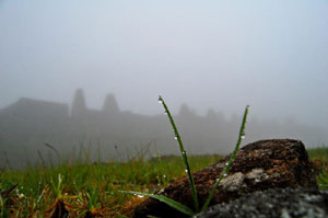 Más allá de la niebla